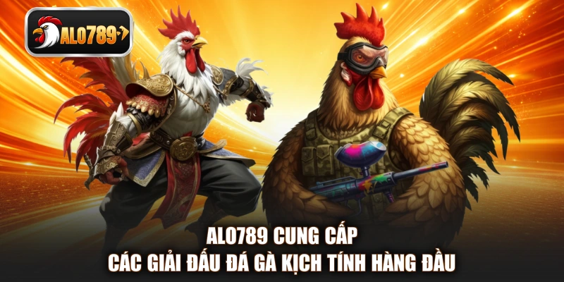 ALO789 cung cấp các giải đấu đá gà kịch tính hàng đầu