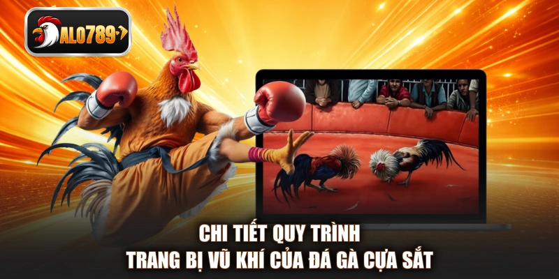 Chi tiết quy trình trang bị vũ khí của đá gà cựa sắt