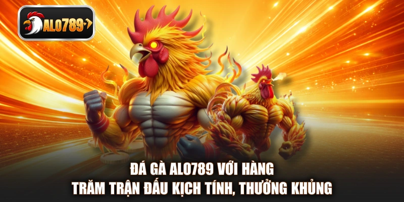 Đá gà ALO789 với hàng trăm trận đấu kịch tính, thưởng khủng