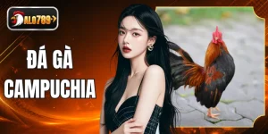 Đá Gà Campuchia Trực Tiếp Kịch Tính Cùng Tỷ Lệ Thưởng Cao