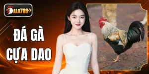 Đá Gà Cựa Dao Trực Tiếp Sôi Động Với Các Trận Đấu Tử Chiến