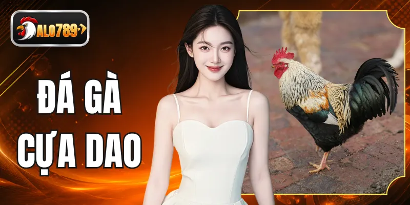 Đá Gà Cựa Dao Trực Tiếp Sôi Động Với Các Trận Đấu Tử Chiến