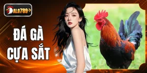 Đá Gà Cựa Sắt Mãn Nhãn Với Những Pha Bắn Máu Nảy Lửa